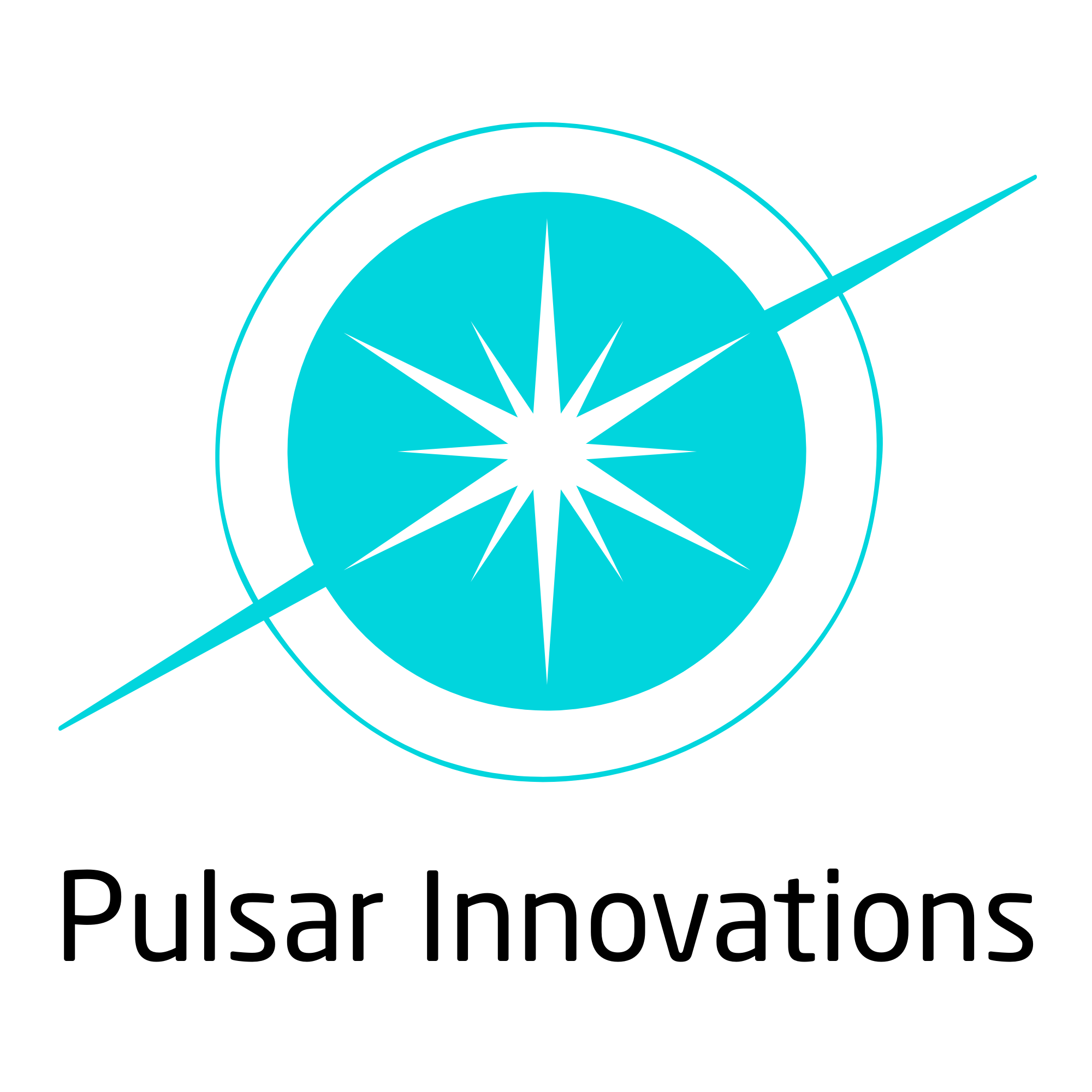 Pulsar Innovations株式会社